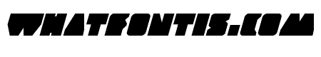 Contour of Duty Italic