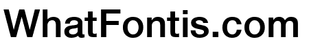 .Helvetica Neue Interface Medium P4