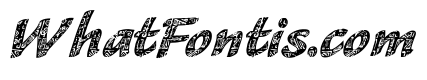 CM Tropical Script