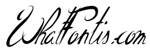 ElegantDragonItalic