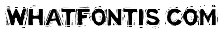 Linostate Demo Bold