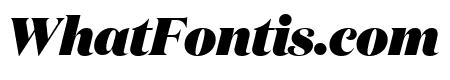 DomaineDisplay BlackItalic