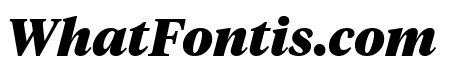 TiemposHeadline BlackItalic