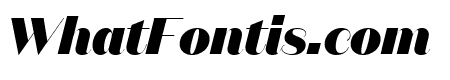 DomaineSansDisplay BlackItalic