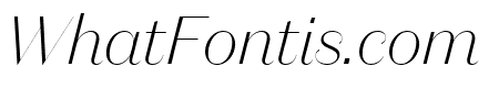 DomaineSansFine ThinItalic