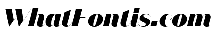 DomaineSansFine BlackItalic