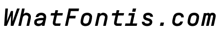SimplonMono MediumItalic WebXL