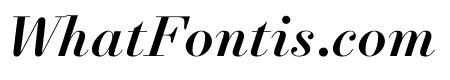 NewParisHeadline MediumItalic WebXL