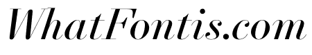 NewParisKingSize RegularItalic WebXL