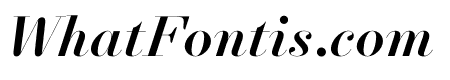 NewParisKingSize MediumItalic WebXL