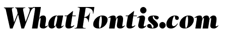 RomainHeadline BlackItalic WebXL