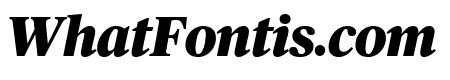 PublicoHeadline BlackItalic Reduced