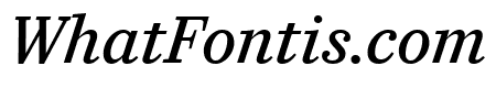 CaponiText RegularNo2Italic Reduced