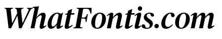 PublicoHeadline MediumItalic Reduced