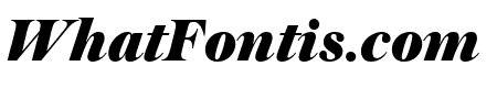 Austin FatItalic Reduced
