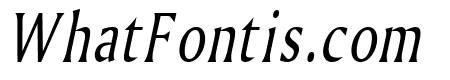Ameretto Thin Italic