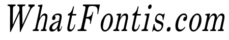 Annual Thin Italic