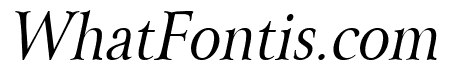 Array Thin Italic