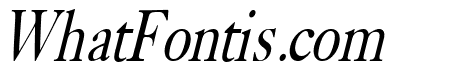 Bliss Thin Italic