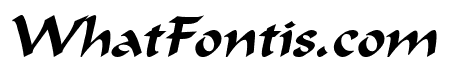 Calligrapher  Italic
