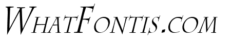 Chaz Thin Italic