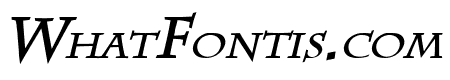 Chaz Bold Italic