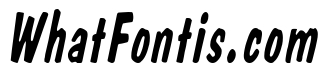 Danto Thin Italic