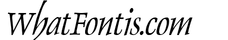 Dolphin Condensed Italic