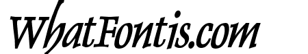Dolphin Condensed Bold Italic