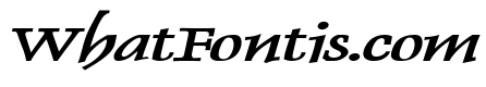 Dolphin Extended Bold Italic