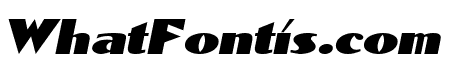 Dominon Italic