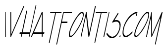Enview Light Italic