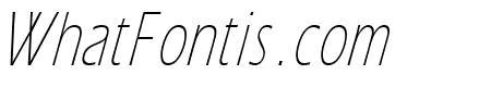Eric Lite Italic