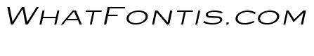 Eye glass Wide Italic
