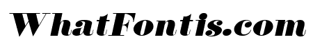 Floral Wide Italic