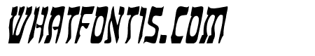 Kosher Thin Italic