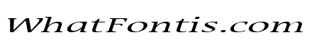Mirror Extended Italic