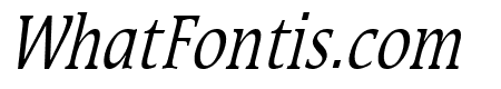 Mirror Thin Italic