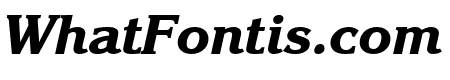 Enchanted Bold Italic