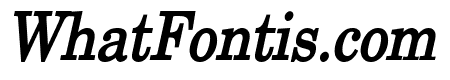 New Boston Condensed Bold Italic
