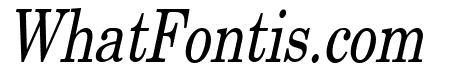 New Boston Thin Italic