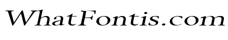 Revive 8 Extended Italic