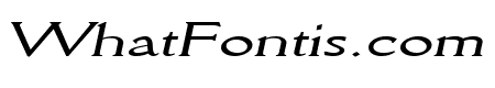 Rory Extended Italic