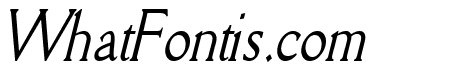 Rory Thin Italic