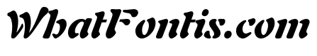 AuriolLTStd-BlackItalic