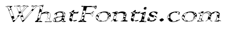101 Puppies Italic SW