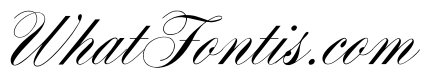 OPTIYaleScript