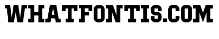 IBM Block Serif