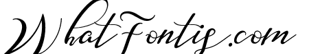 Nazeefa Script