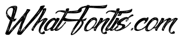 Agua deJamaica-Italic